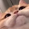 💓