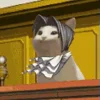 😼