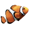 🌊