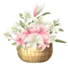 🌸
