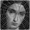 🕸️
