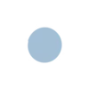 🟣