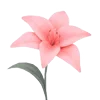 🌸