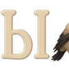 🤎