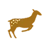 🦌