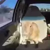 🚗