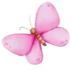 🦋