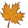 🍂