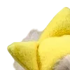 ⭐️