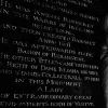 ♟