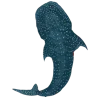 🐋