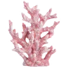 🪸