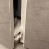❤