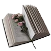 📖