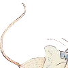 🐭