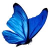 💙