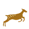 🦌