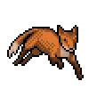 🦊