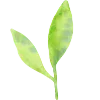 🌱