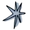 🌟