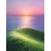 🤩
