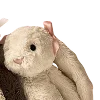 🐰
