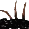 🪳