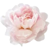 🌸