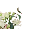 🌼