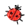 🐞