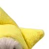⭐️