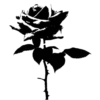 🌹