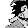 🪿