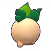 🧅