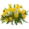 ⭐