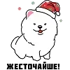 🐶