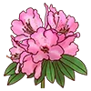 🌸
