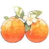 🍊