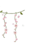 🪻