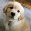 😊