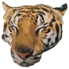🐆