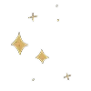 ✨