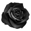 🌹