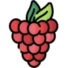 🍓