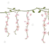 🪻
