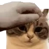👋