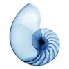 🌀