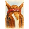 🐎
