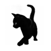 🐈‍⬛