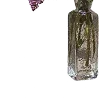 🪻